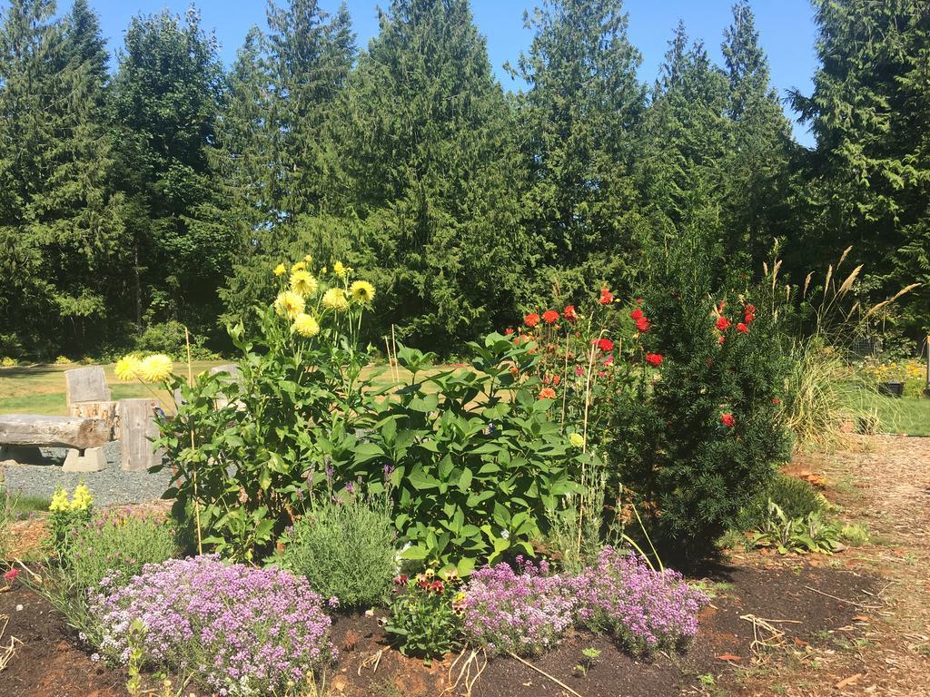 Ashling Cottage Qualicum Beach Exterior foto
